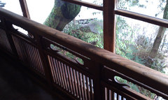 fukuzumi004.jpg